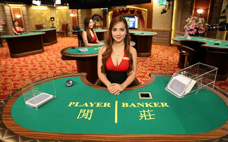 Các thuật ngữ baccarat cơ bản dành cho tân thủ