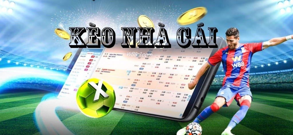 Hướng dẫn cách đọc tips Handicap nhanh và hiệu quả