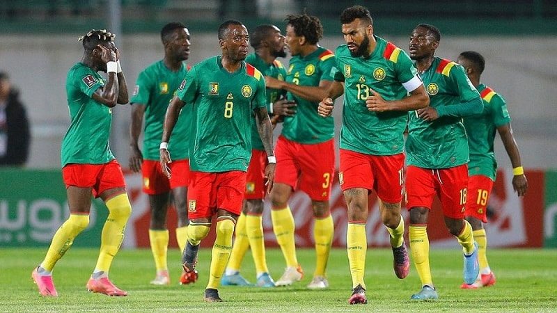 Lực lượng Cameroon gồm những cầu thủ thiên về lối đá kỹ thuật và tốc độ