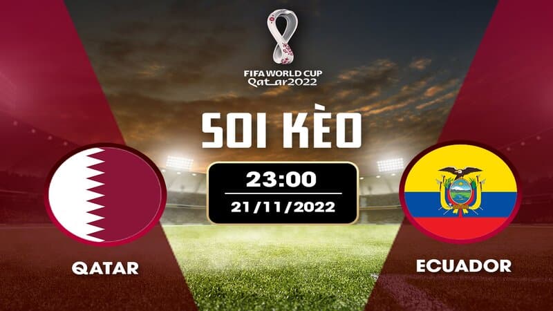 Soi kèo Châu Âu giữa 2 đội Qatar vs Ecuador